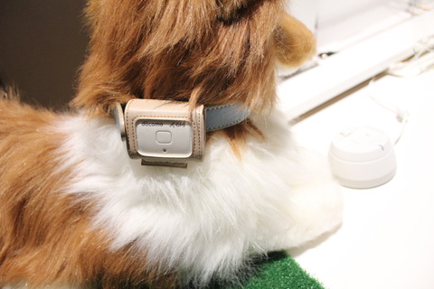 petfit_05