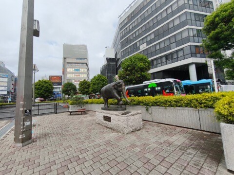 IMG_20250920_100318