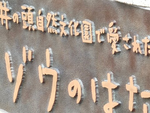 IMG_20250920_100414